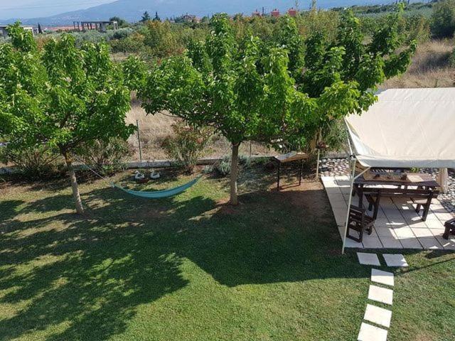 Plaka Luxury Villa Litochoro Exterior photo